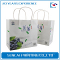 White fruit paper bag /Wholesale design raw materials of paper bag with handles